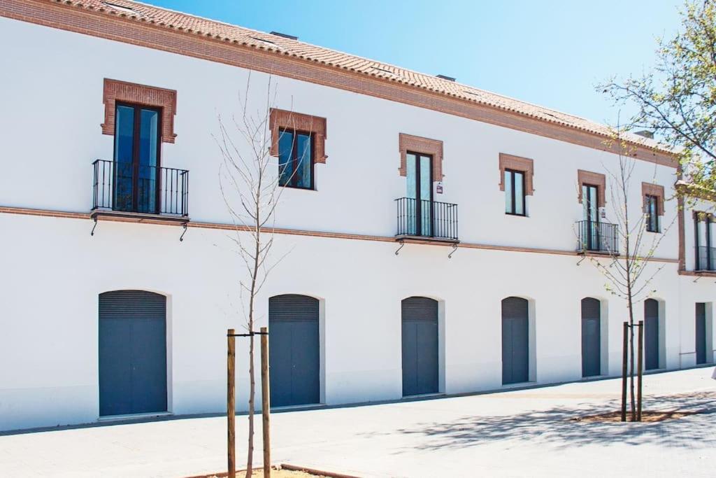 Live Like A Local In Contemporary Duplex Séville